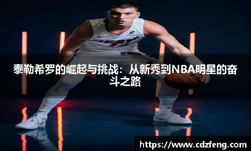 泰勒希罗的崛起与挑战：从新秀到NBA明星的奋斗之路