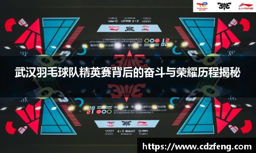 武汉羽毛球队精英赛背后的奋斗与荣耀历程揭秘